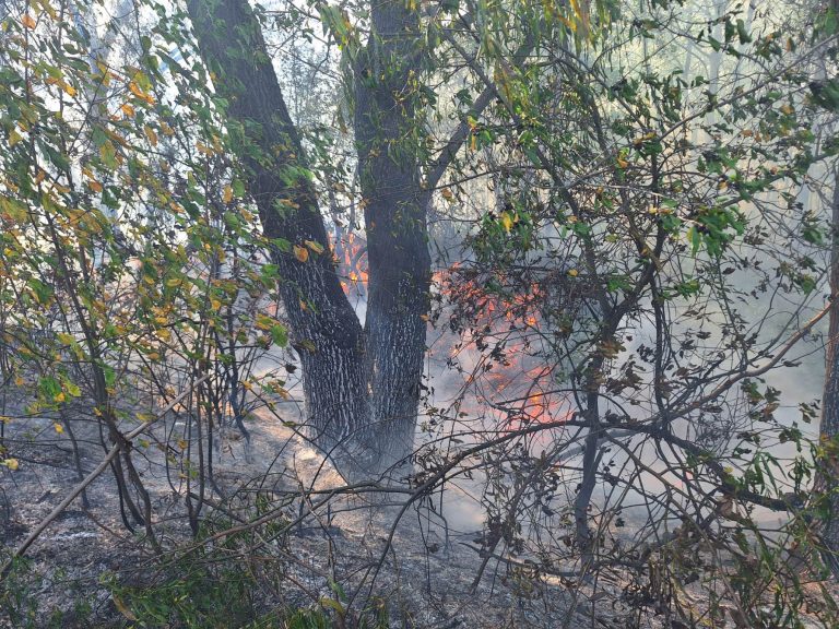 Пожароопасный сезон в самом разгаре!