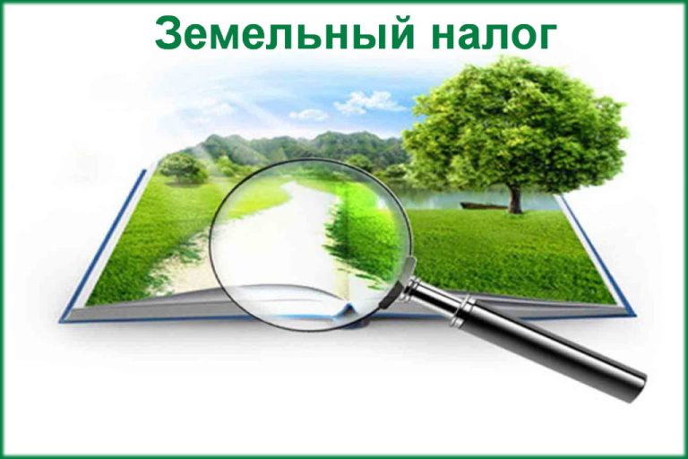 Алгоритм представления плательщиками налоговых деклараций по земельному налогу
