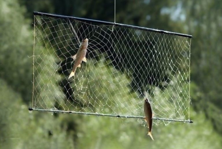 Сдай запрещенные орудия рыболовства – освободи себя от ответственности!