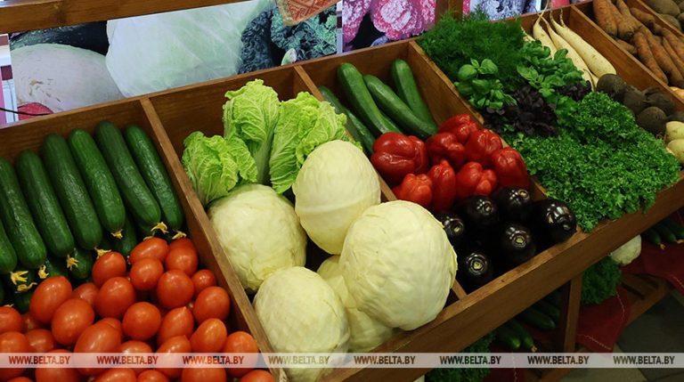 Сроки, места, обязанности: в Беларуси скорректированы требования к проведению ярмарок