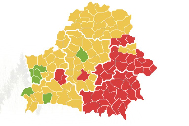 Запреты на посещение лесов действуют во всех районах Гомельской области