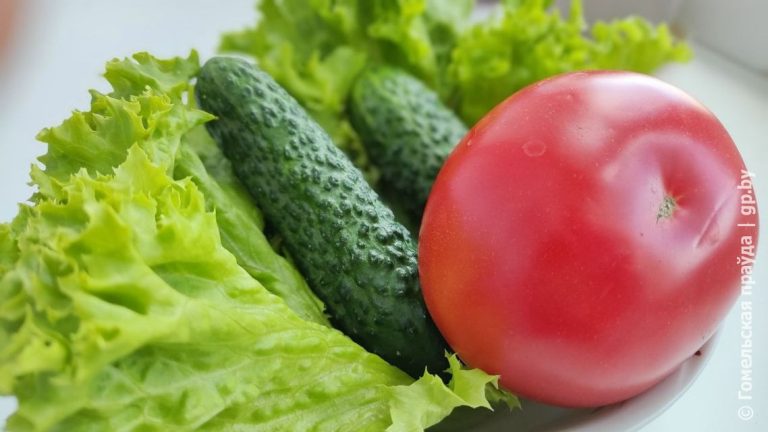 В Гомельском областном объединении профсоюзов будет работать общественная приёмная по вопросам цен, качества и наличия товаров