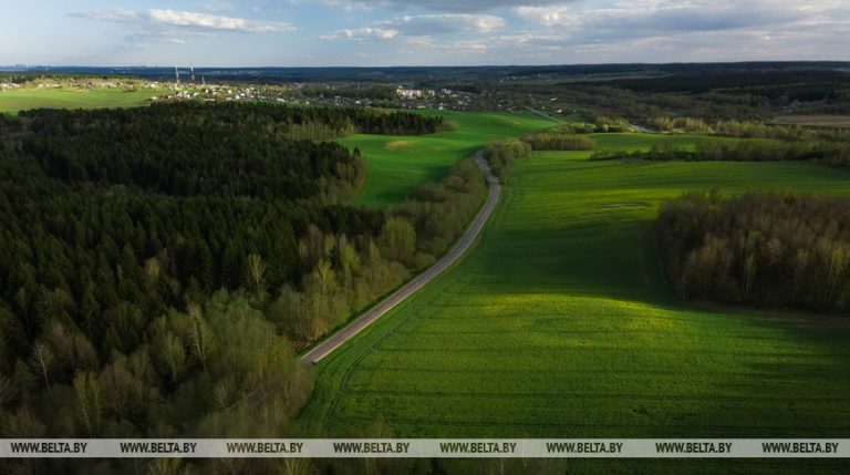 Гомельская область признана наиболее озелененной в Беларуси