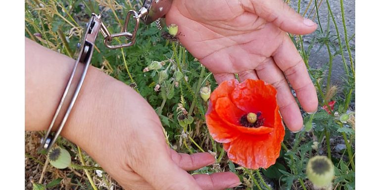 Специальная программа «МАК» проходит на территории Центрального района г.Гомеля