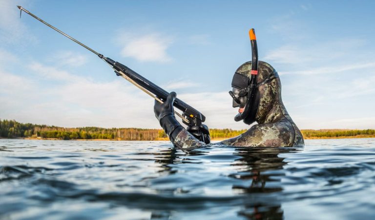 Правила подводной охоты в Беларуси
