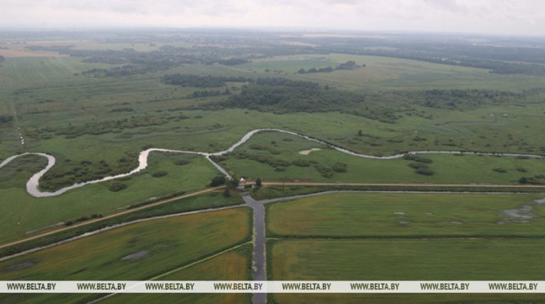 Более 70% гражданских инициатив в Гомельской области нацелены на развитие сельских территорий