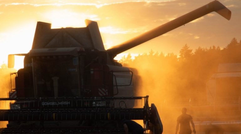 От гигантов полей до огненного шоу. Как пройдет День машиностроителя в Гомеле