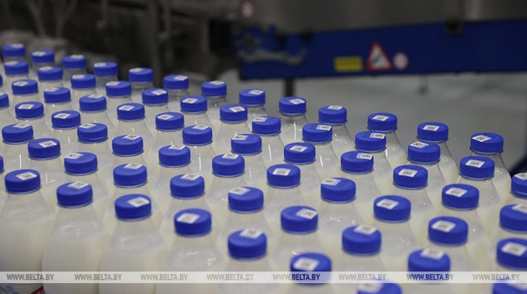 Минсельхозпрод: на одного белоруса в год производится почти тонна молока