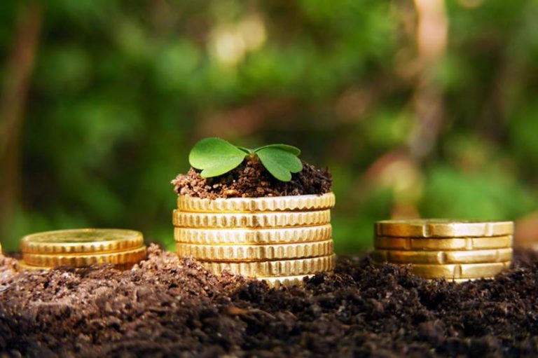 1 декабря 2025 года срок представления организациями уведомлений по земельному налогу