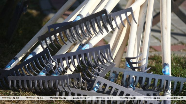 Какие объекты планируют отреставрировать в Гомельской области за счет средств субботников в 2026 году