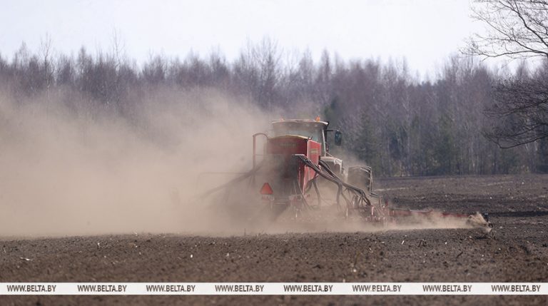 «Все регионы приступили к активному севу». Чем заняты аграрии Беларуси в последнюю декаду марта