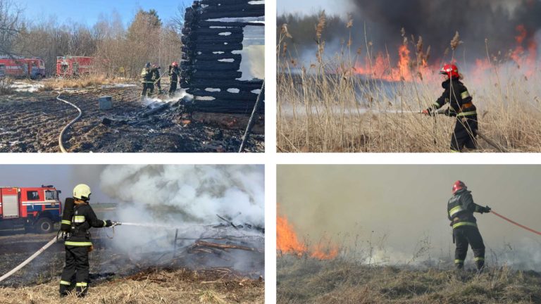 Палы сухой травы: почему они опасны и как избежать трагедии?