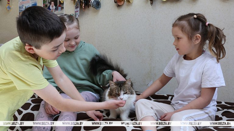 Больш як 153 тыс. дэпазітных рахункаў адкрыта ў Беларусі па праграме “Сямейны капітал”