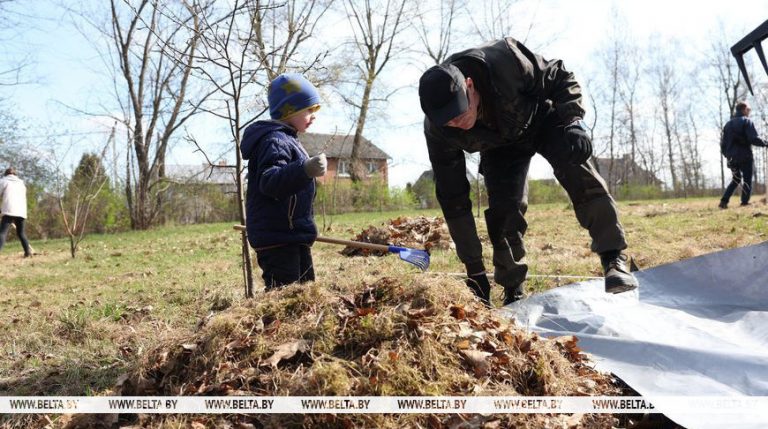 Белстат: более 20 млн рублей заработано на республиканском субботнике