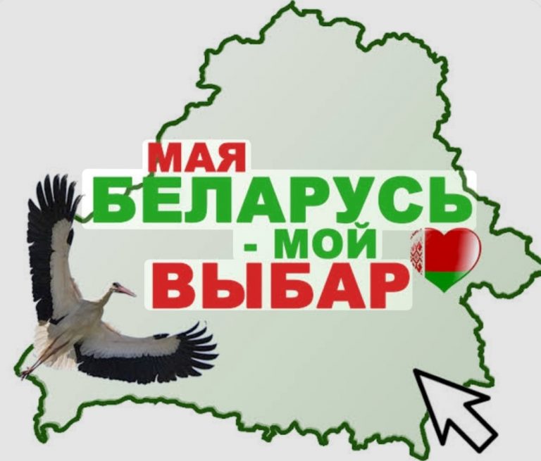Основания и порядок приобретения гражданства Республики Беларусь иностранными гражданами и лицами без гражданства