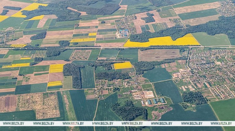 Лукашэнка адобрыў комплексныя папраўкі ў Кодэкс аб зямлі