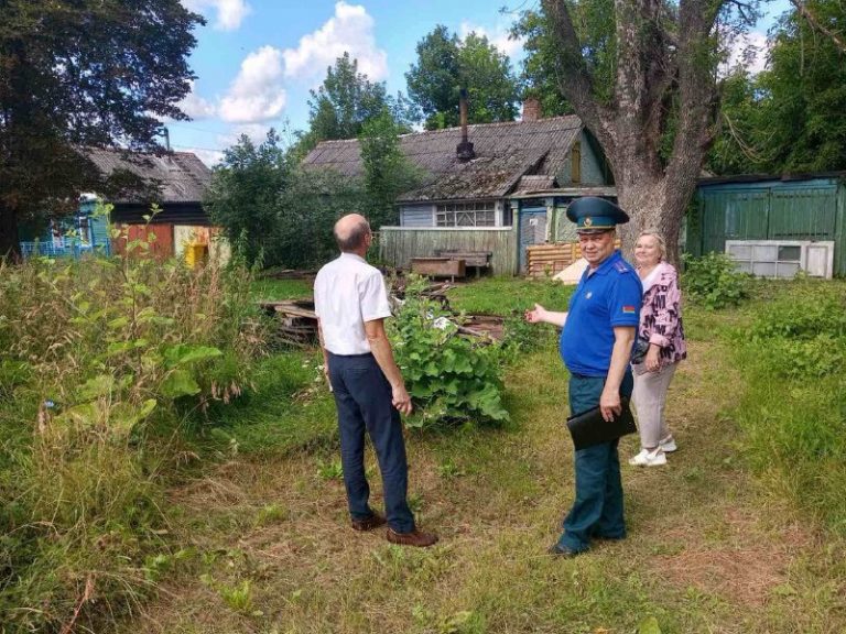 В Гомеле завершилось специальное профилактическое мероприятие «Зеленый щит»